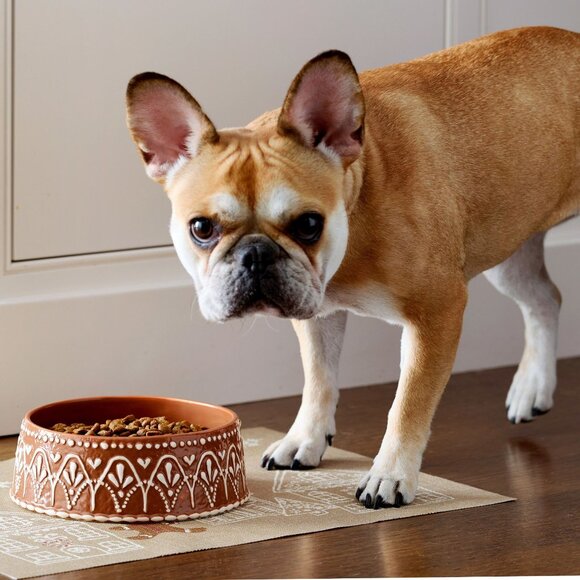 Pottery Barn Gingerbread Pet Bowl Large Stoneware - Picture 1 of 4